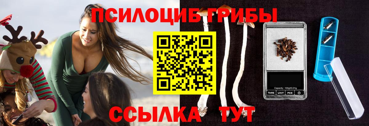 Псилоцибиновые грибы Magic Shrooms  продажа наркотиков  Кострома  Вход с VPN 