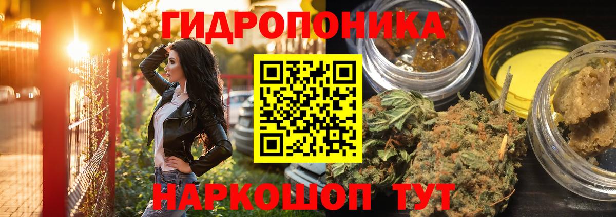 Конопля Bruce Banner Кострома